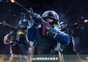 csgo持枪视角抖动指令