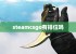 steamcsgo有排位吗