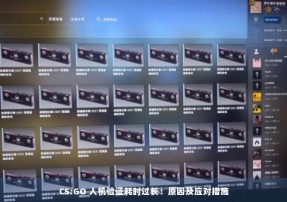 CS:GO 人机验证耗时过长：原因及应对措施