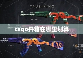 csgo开箱在哪里划算