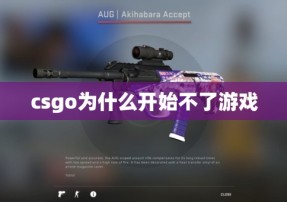 csgo为什么开始不了游戏