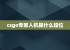 csgo专家人机算什么段位