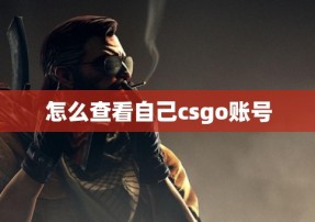 怎么查看自己csgo账号