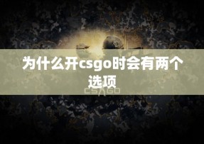 为什么开csgo时会有两个选项