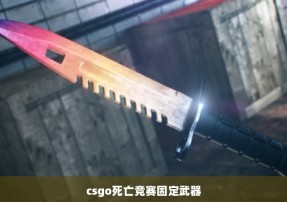 csgo死亡竞赛固定武器