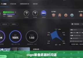 csgo装备武器时闪退