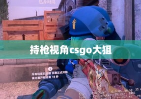 持枪视角csgo大狙