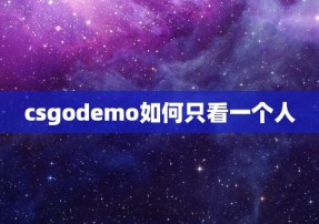 csgodemo如何只看一个人