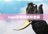 csgo好看的皮肤套装