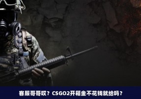 客服哥哥哎？CSGO2开箱金不花钱就给吗？