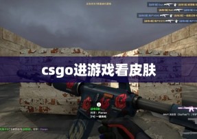 csgo进游戏看皮肤