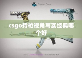 csgo持枪视角写实经典哪个好