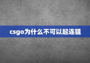 csgo为什么不可以起连狙