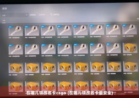 在哪儿领改名卡csgo (在哪儿领改名卡最安全)