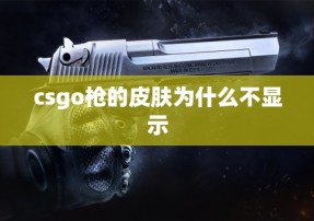 csgo枪的皮肤为什么不显示