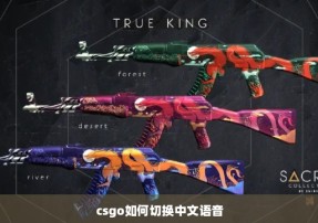 csgo如何切换中文语音