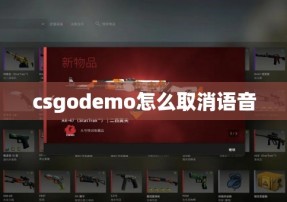 csgodemo怎么取消语音