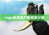 csgo优先账户最低多少钱