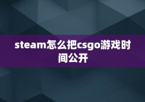 steam怎么把csgo游戏时间公开