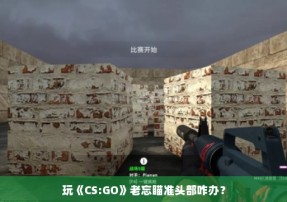 玩《CS:GO》老忘瞄准头部咋办？