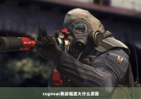 csgovar跳动幅度大什么原因