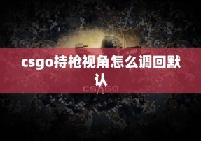 csgo持枪视角怎么调回默认