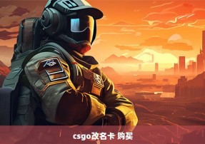 csgo改名卡 购买