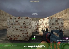 CS:GO 内格夫去哪了？