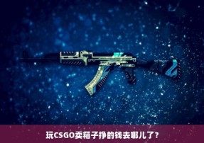 玩CSGO卖箱子挣的钱去哪儿了？