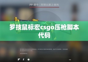 罗技鼠标宏csgo压枪脚本代码