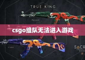 csgo组队无法进入游戏