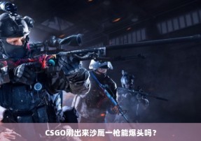 CSGO刚出来沙鹰一枪能爆头吗？