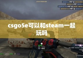 csgo5e可以和steam一起玩吗