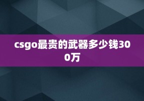 csgo最贵的武器多少钱300万