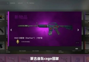 蒙古战队csgo回家