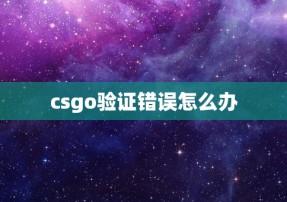 csgo验证错误怎么办