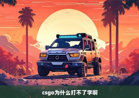 csgo为什么打不了字啊