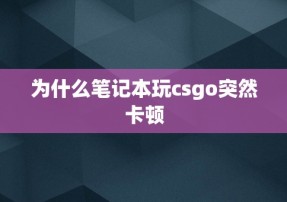 为什么笔记本玩csgo突然卡顿