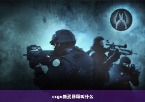 csgo新武器箱叫什么