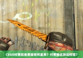 CSGO付费和免费版有何差异？付费版优势如何呢？