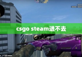 csgo steam进不去