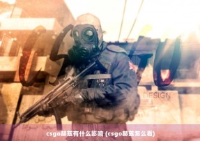 csgo赫兹有什么影响 (csgo赫兹怎么看)