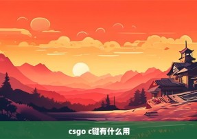 csgo c键有什么用