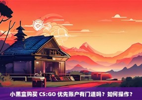 小黑盒购买 CS:GO 优先账户有门道吗？如何操作？