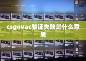 csgovac验证失败是什么意思