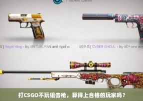 打CSGO不玩狙击枪，算得上合格的玩家吗？