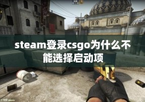 steam登录csgo为什么不能选择启动项