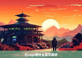 打csgo用什么显示屏好