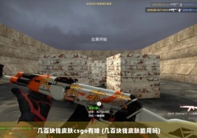 几百块钱皮肤csgo有啥 (几百块钱皮肤能用吗)