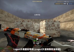 csgo2沙鹰要起甲吗 (csgo2沙漠地图区域名称)